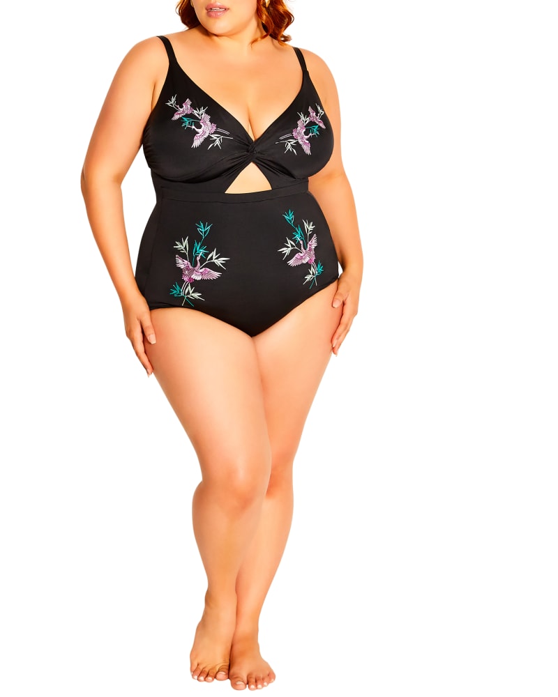 Sears plus size swimsuits sales